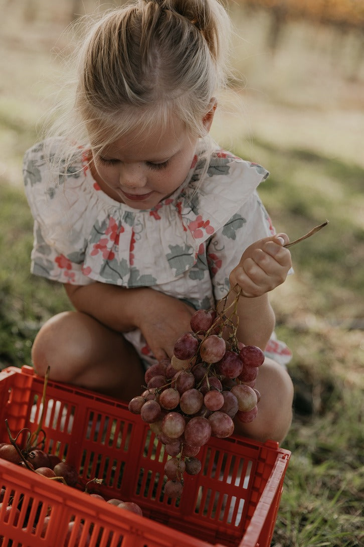 【garbo&friends】Grapes Pink Seersucker Collar Blouse ブラウス 1-2y,3-4y  | Coucoubebe/ククベベ