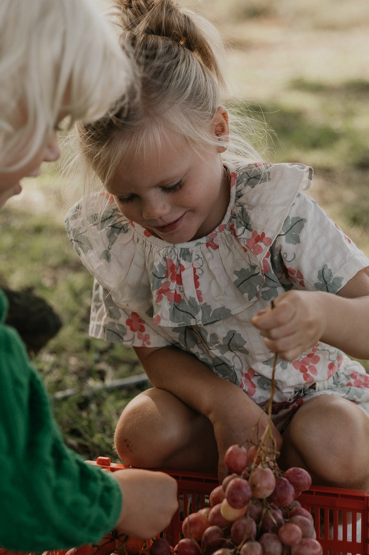 【garbo&friends】Grapes Pink Seersucker Collar Blouse ブラウス 1-2y,3-4y  | Coucoubebe/ククベベ