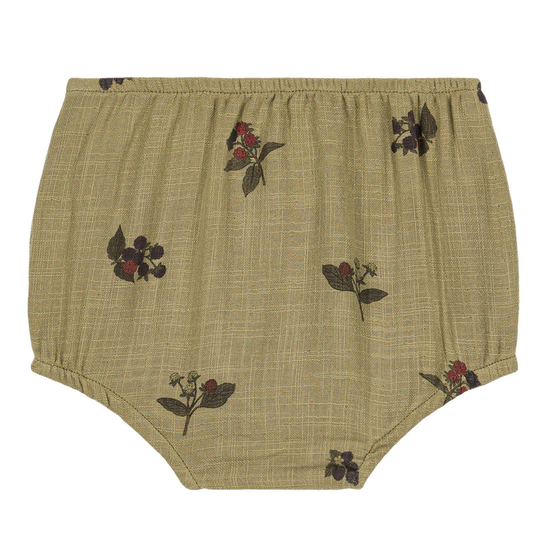 【STUDIO BOHEME】【9月上旬発送】AMI BLOOMER GREEN ALOE/BLACKBERRIES ブルマ 6m,12m,18m  | Coucoubebe/ククベベ