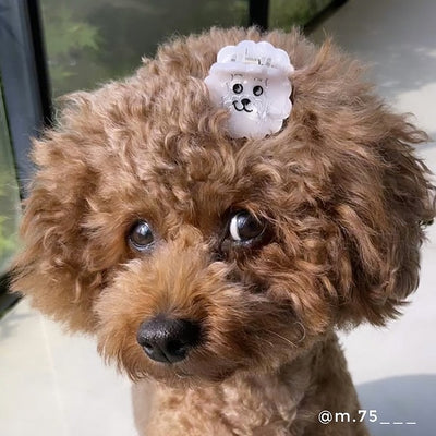 【Coucou Suzette】Bichon Mini Hair Claw ビションミニヘアクロー（Sub Image-7） | Coucoubebe/ククベベ