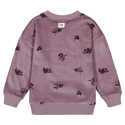 【STUDIO BOHEME】【9月上旬発送】BART SWEAT-SHIRT MAUVE/BLACKBERRIES スウェット 12m,18m,24m,36m,4y（Sub Image-2） | Coucoubebe/ククベベ