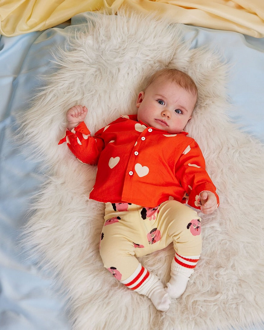 【mini rodini】Doggies aop leggings Yellow レギンス 68/74,80/86,92/98,104/110  | Coucoubebe/ククベベ