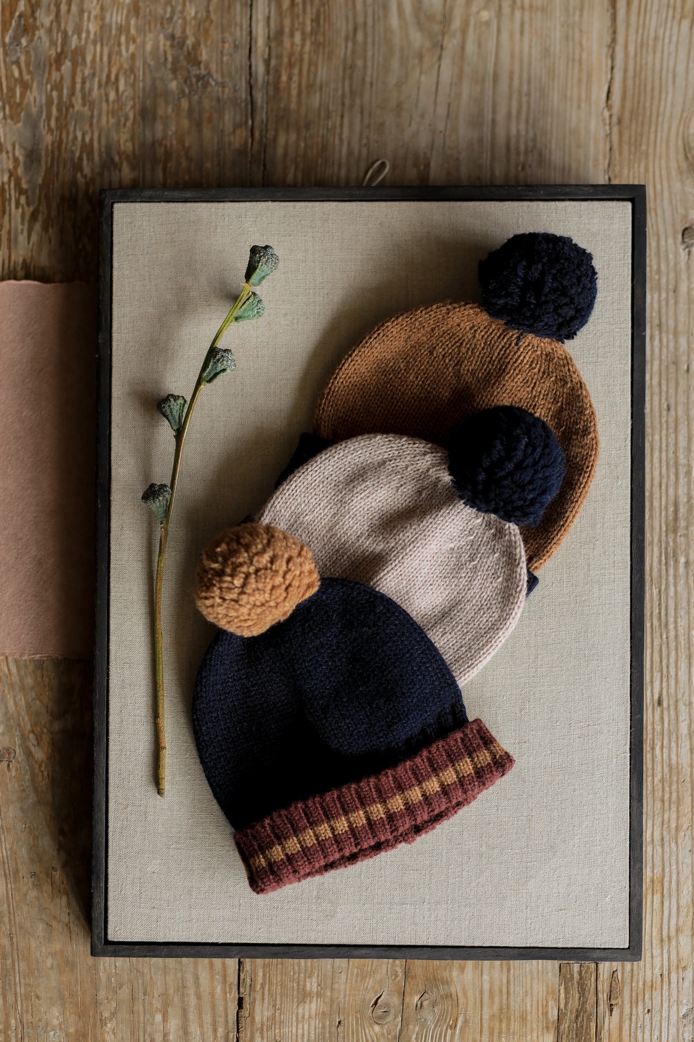 【1＋in the family】BRIAN college beanie castagna 帽子 T2,T3,T4  | Coucoubebe/ククベベ