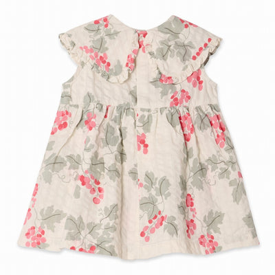 【garbo&friends】Grapes Pink Seersucker Collar Romper Dress ロンパース 6-12m,1-2y（Sub Image-2） | Coucoubebe/ククベベ