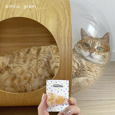 【Coucou Suzette】Ginger Cat Hair Clip ジンジャーキャットヘアクリップ（Sub Image-5） | Coucoubebe/ククベベ