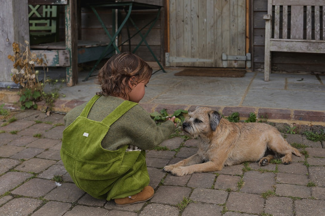 【organic zoo】Peapod Farmer Dungarees ダンガリー 1-2Y,2-3Y,3-4Y  | Coucoubebe/ククベベ