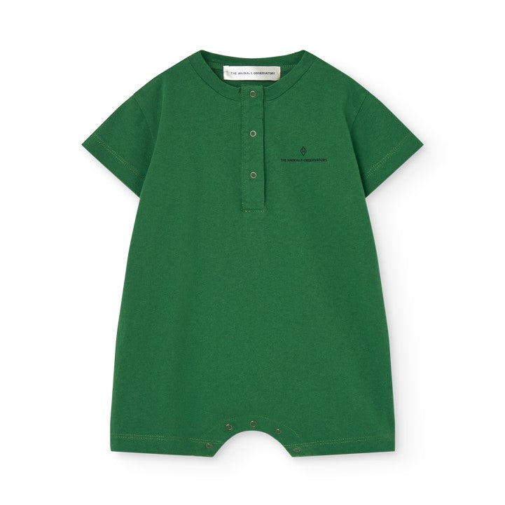 The Animals Observatory | Coucoubebe/ククベベ